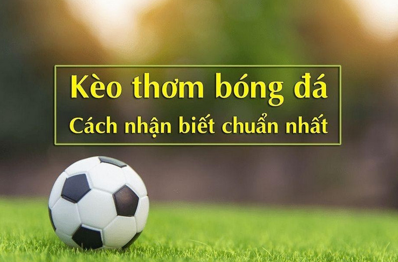 Kèo Thơm - Chiến Lược Đỉnh Cao Dành Cho Người Chơi Cá Cược